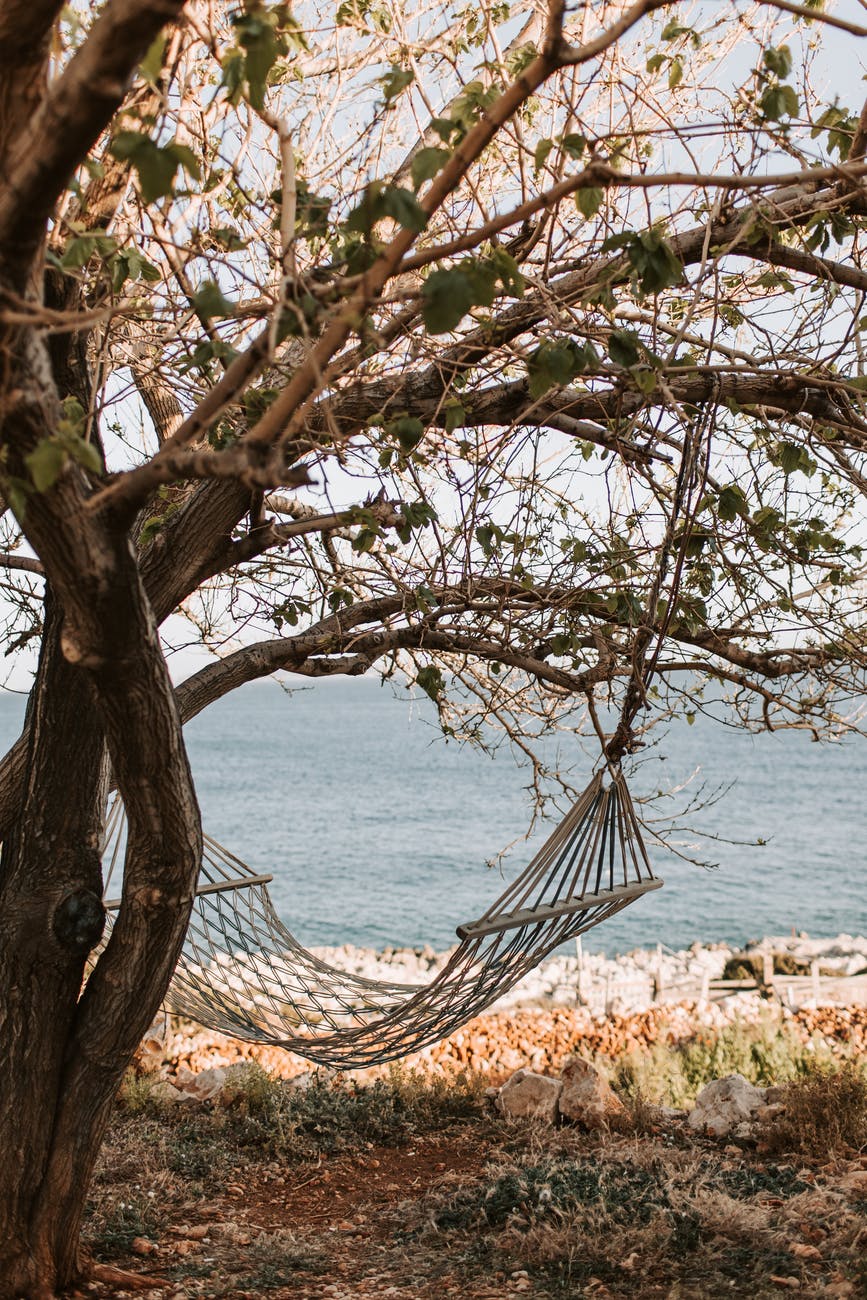 brown hammock hanging under a tree