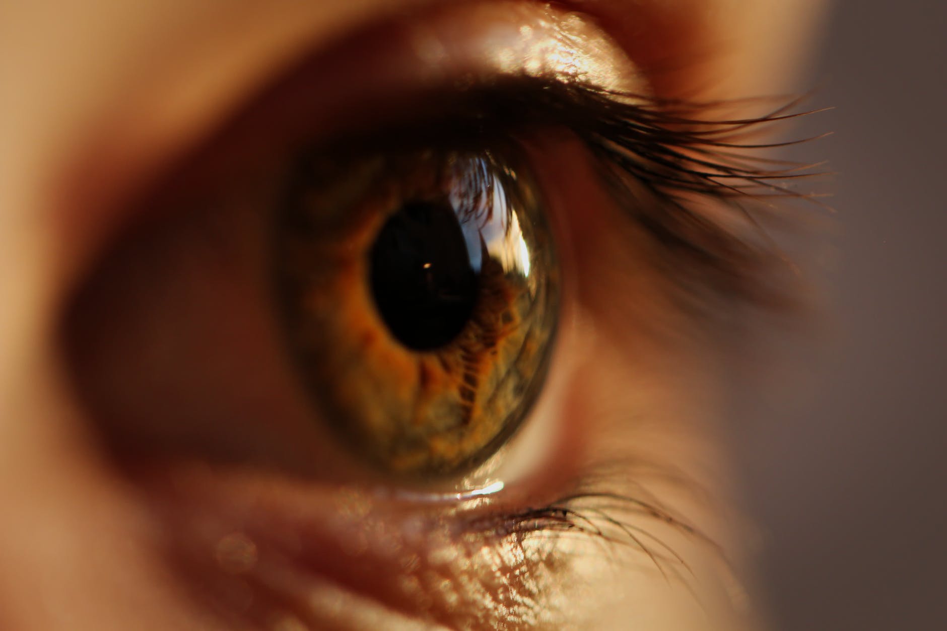 close up photography of person s eye